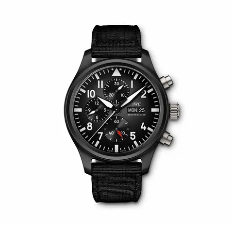 IWC Schaffhausen Pilot's Watch IW389101